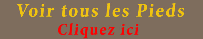 Catalogue de pi&egrave;tements