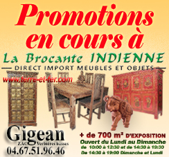 Promotions jusqu'à 50 % à La Brocante Indienne à Gigean